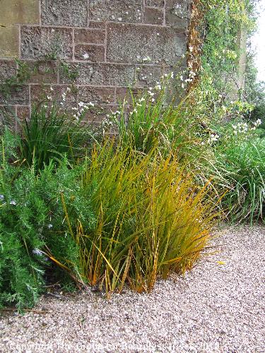Knightshayes (06)